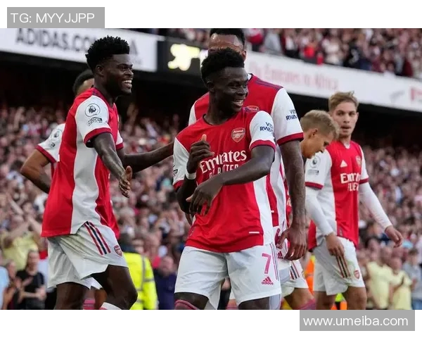 斯旺西与埃弗顿历史交锋战绩分析及近期表现对比