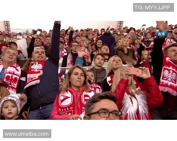 波兰与黑山足球对决结果揭晓比分是多少让我们一同回顾精彩瞬间